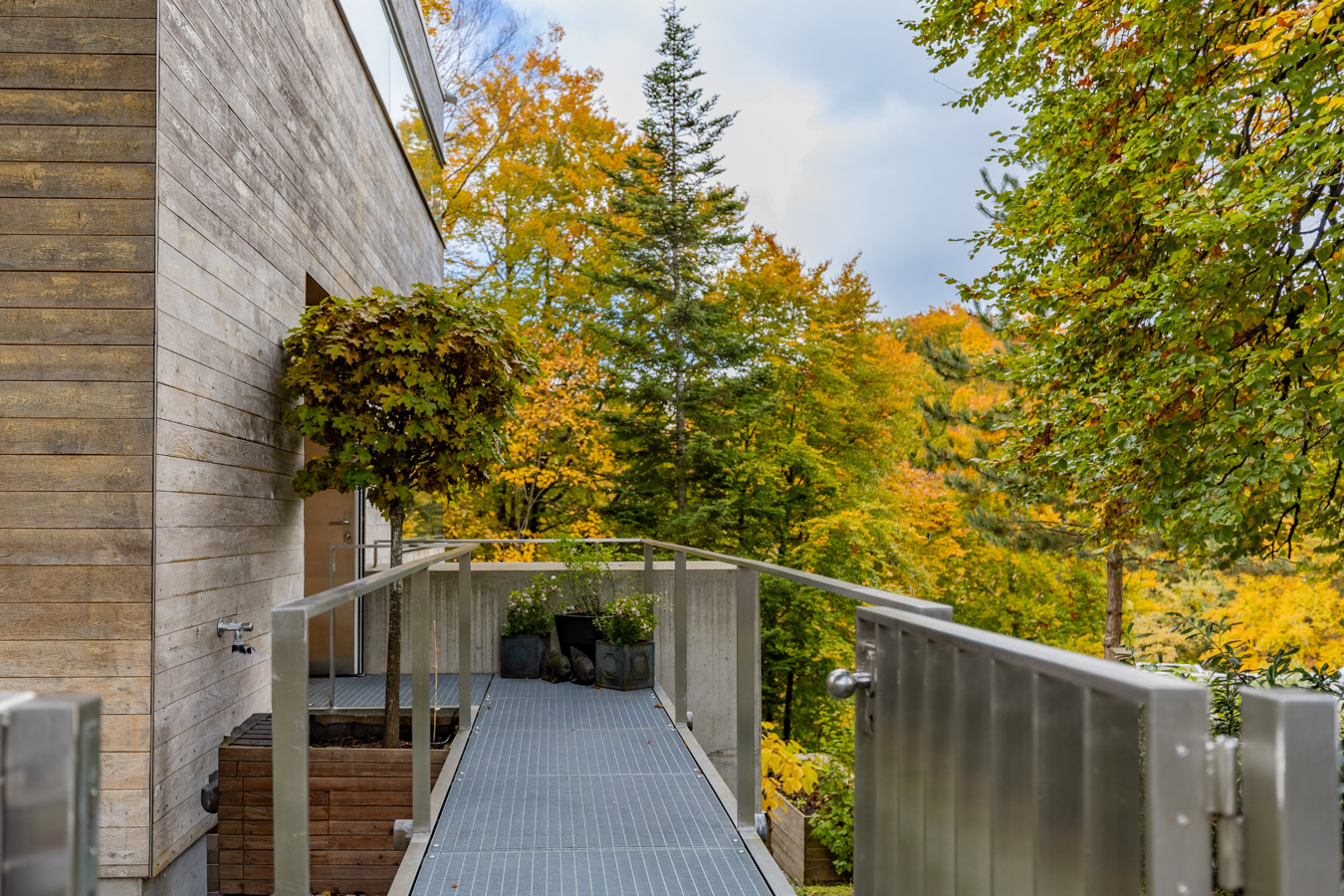 Mein Empfangssteg zum Design Baumhaus.