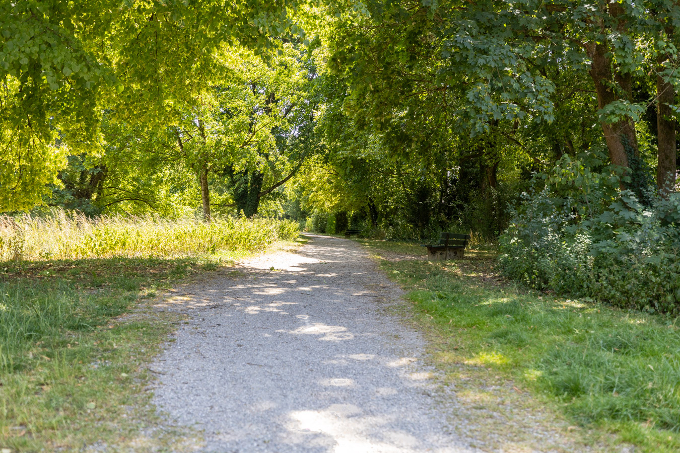 5F9A2925-HDR