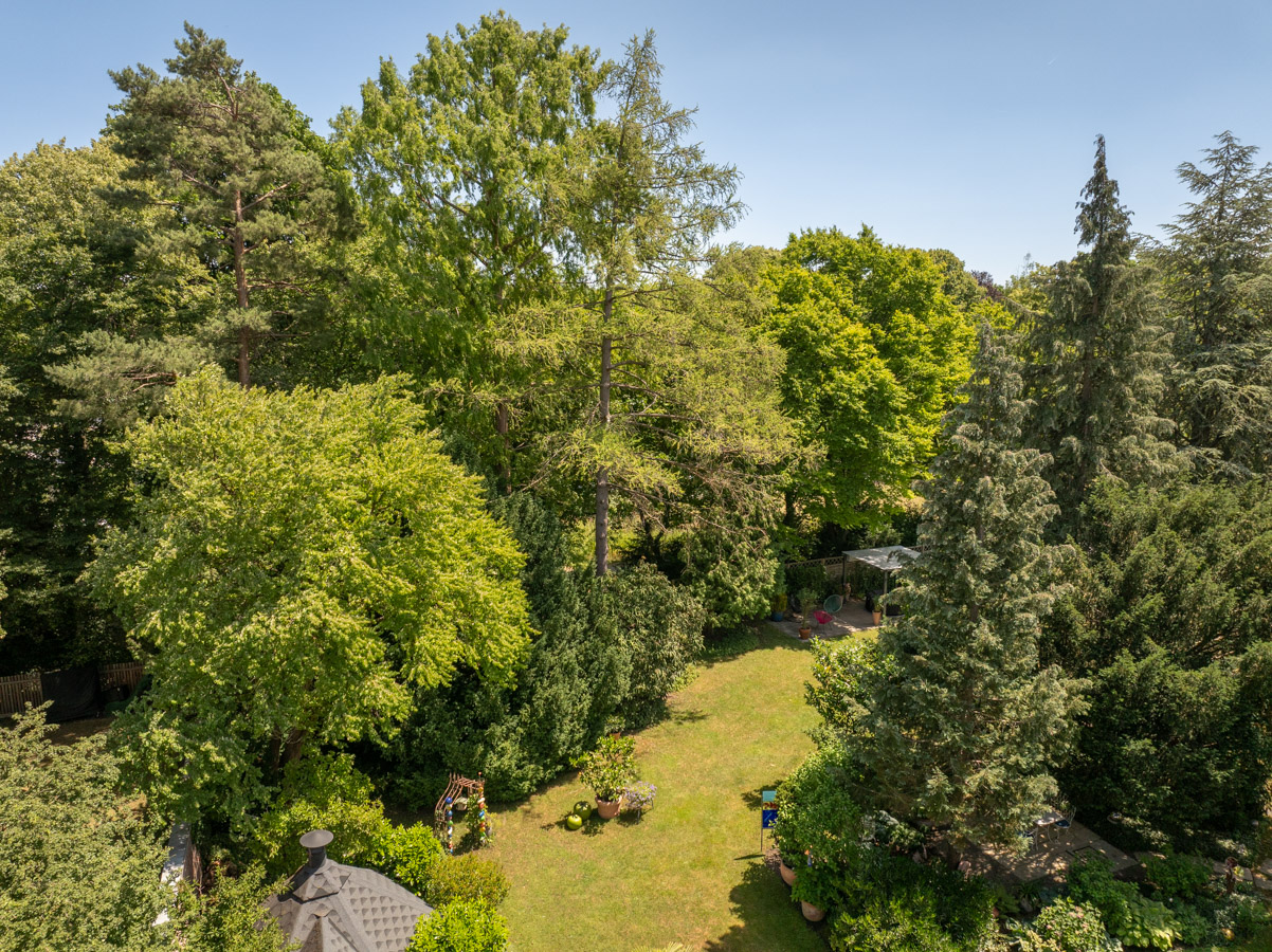 DJI_20250625132658_0031_D