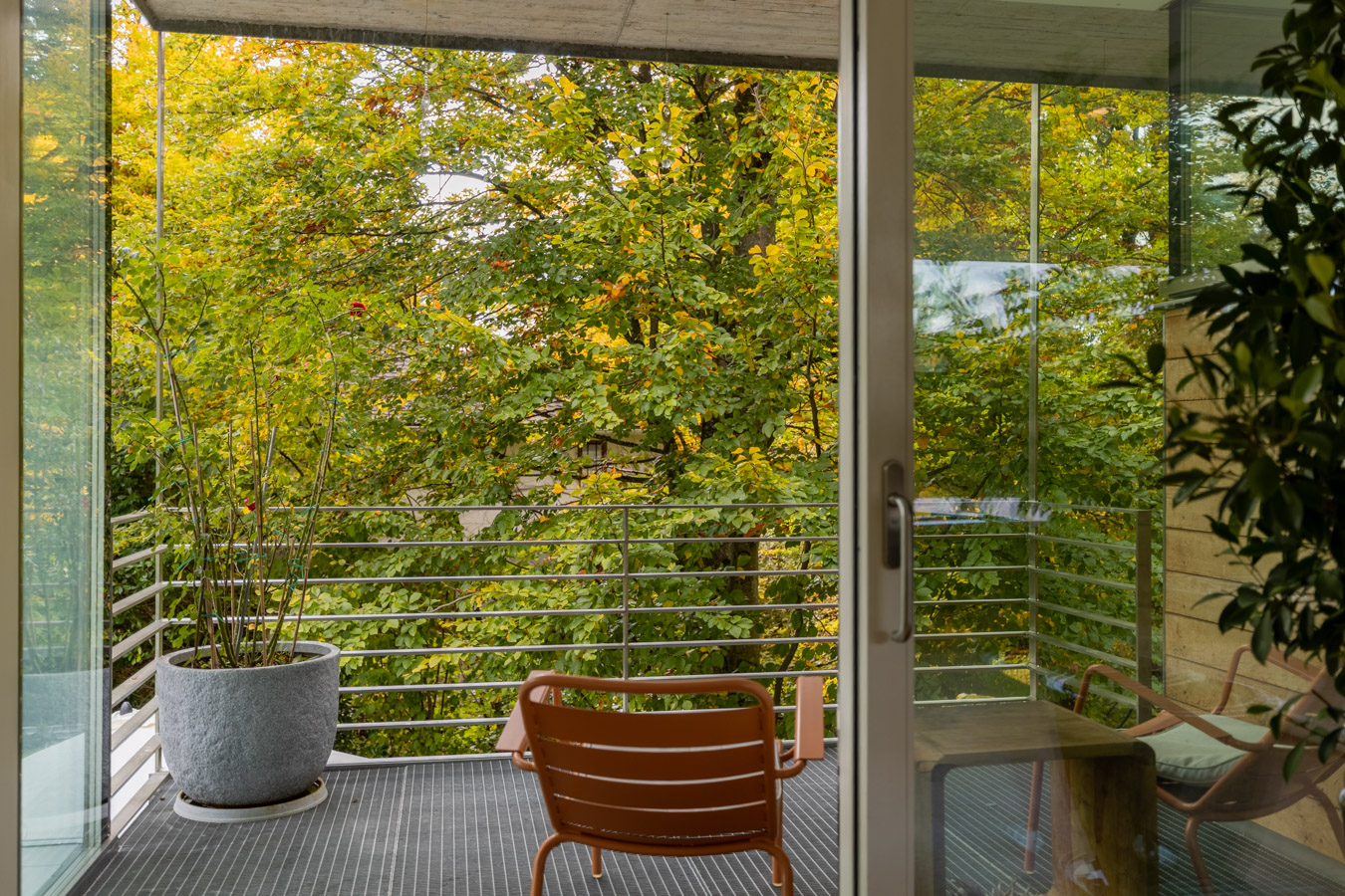 Durchatmen in den Baumwipfeln.