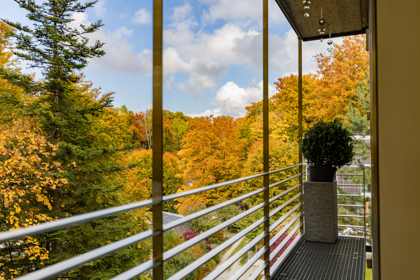 Mein Baumwipfelzimmer.